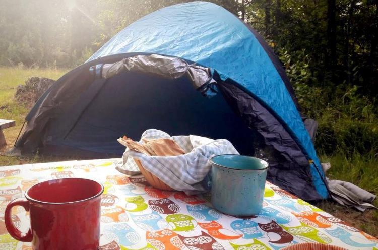 Fotografía 3 de Camping Cascadas Del Llaima en Curacautin, Araucania