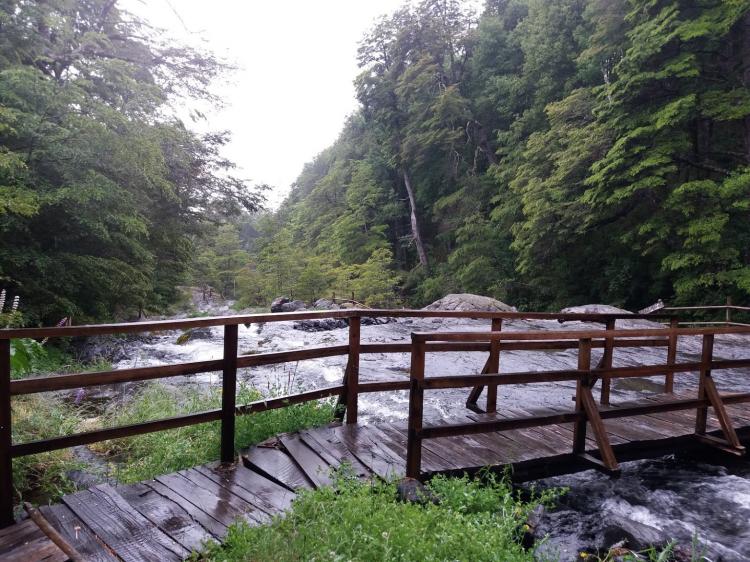 Fotografía 4 de Camping Cascadas Del Llaima en Curacautin, Araucania