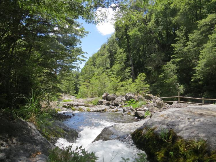 Fotografía 8 de Camping Cascadas Del Llaima en Curacautin, Araucania