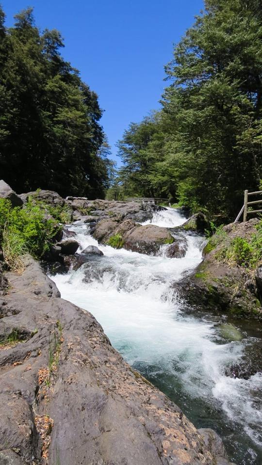 Fotografía 9 de Camping Cascadas Del Llaima en Curacautin, Araucania
