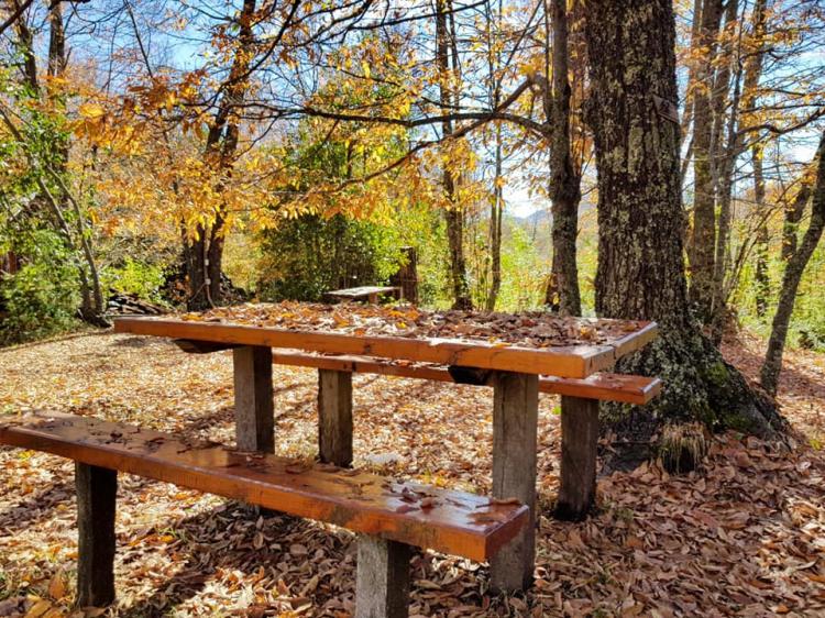 Fotografía 10 de Camping Cascadas Del Llaima en Curacautin, Araucania