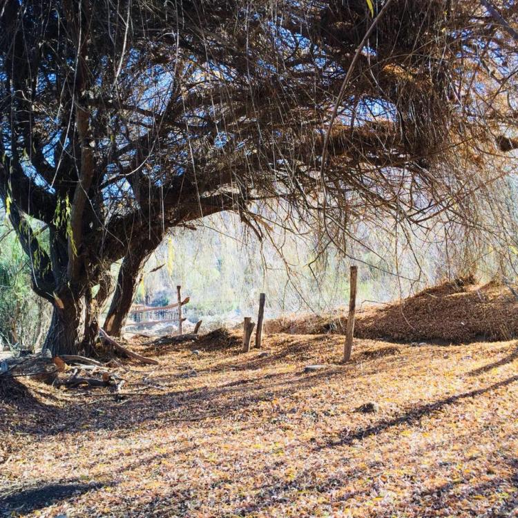 Fotografía 3 de Mystic Eco-Camping Serón Río Hurtado en Rio Hurtado, Coquimbo