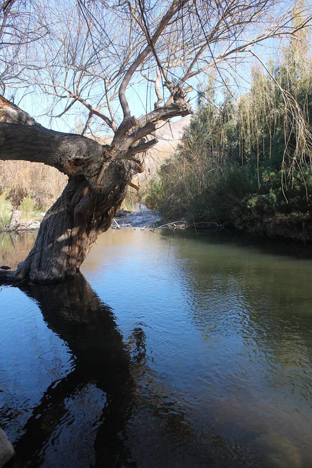 Fotografía 6 de Mystic Eco-Camping Serón Río Hurtado en Rio Hurtado, Coquimbo