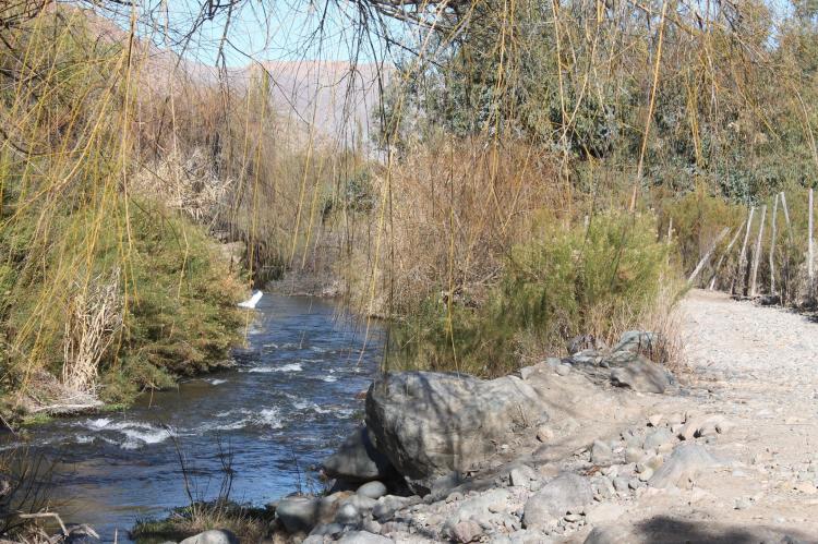 Fotografía 7 de Mystic Eco-Camping Serón Río Hurtado en Rio Hurtado, Coquimbo