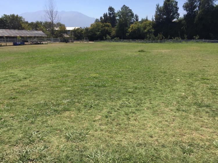 Fotografía 7 de Camping Vista Cordillera Codegua en Codegua, Ohiggins