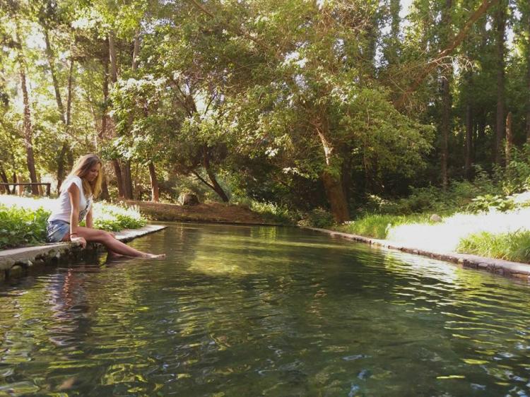 Fotografía 8 de Camping Chitakelindo en Mostazal, Ohiggins