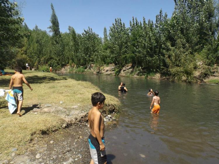Fotografía 8 de Camping Entre Bosques en Coinco, Ohiggins
