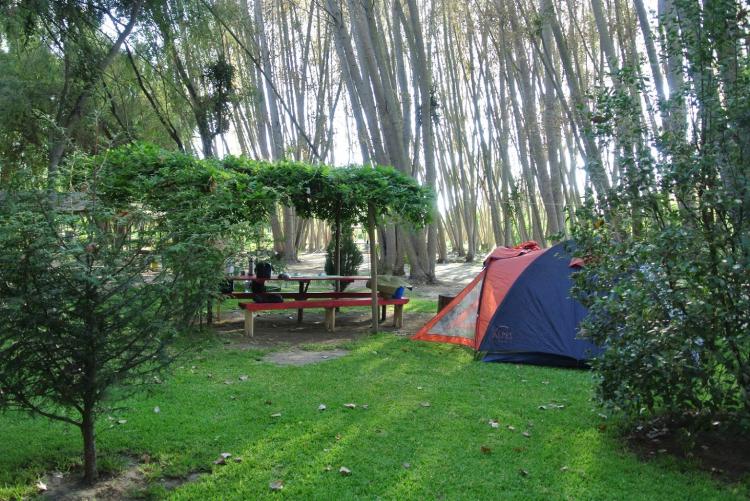 Fotografía 2 de Camping Monte Verde Coltauco en Coltauco, Ohiggins