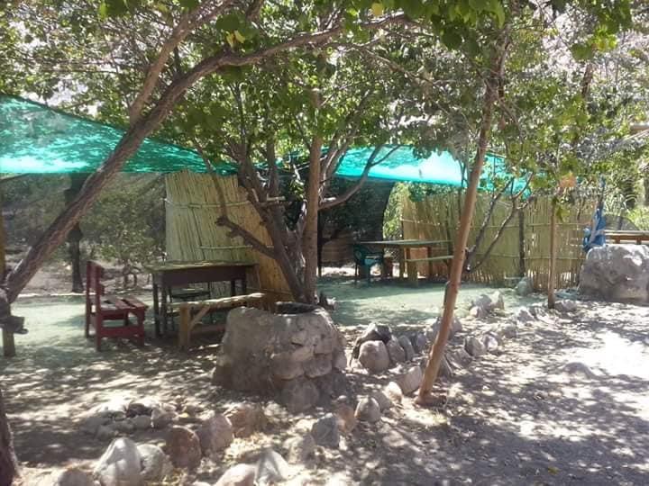 Fotografía 7 de Agro Camping Cañaveral del Elqui en Paihuano, Coquimbo