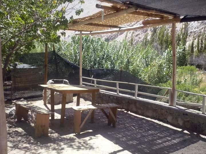Fotografía 9 de Agro Camping Cañaveral del Elqui en Paihuano, Coquimbo