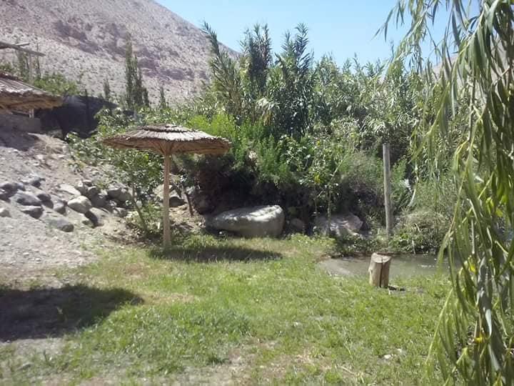 Fotografía 13 de Agro Camping Cañaveral del Elqui en Paihuano, Coquimbo