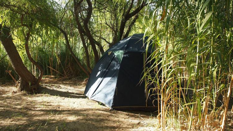 Fotografía 2 de Camping Diaguitas en Vicuña, Coquimbo