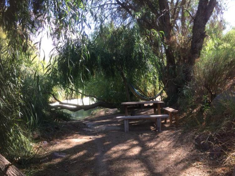 Fotografía 8 de Camping Diaguitas en Vicuña, Coquimbo