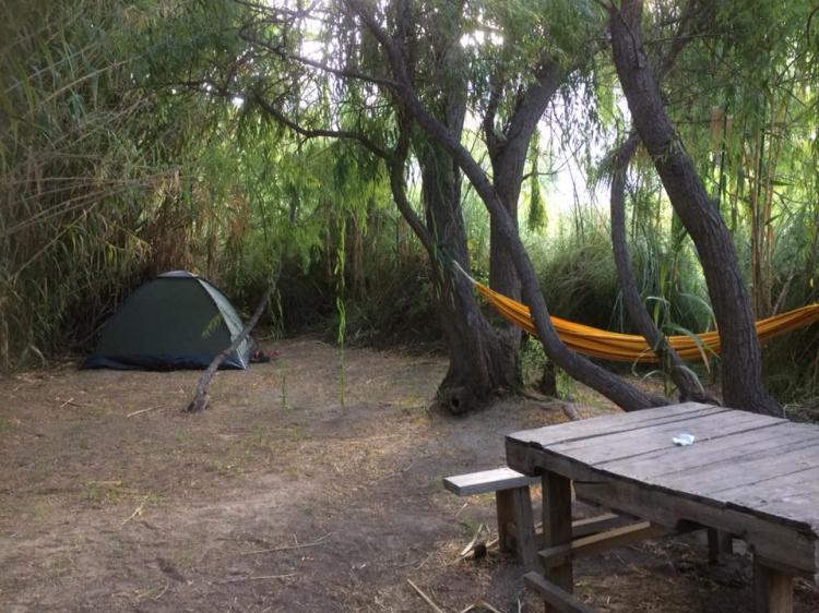 Fotografía 11 de Camping Diaguitas en Vicuña, Coquimbo