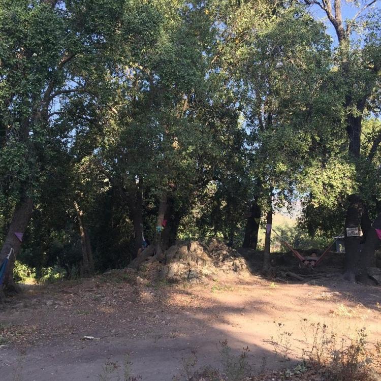Fotografía 7 de Camping y Ecoturismo El Mirador en San Fernando, Ohiggins