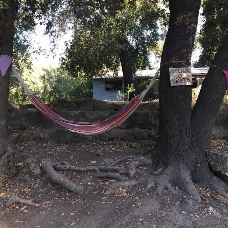 Fotografía 8 de Camping y Ecoturismo El Mirador en San Fernando, Ohiggins