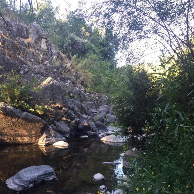 Fotografía 9 de Camping y Ecoturismo El Mirador en San Fernando, Ohiggins