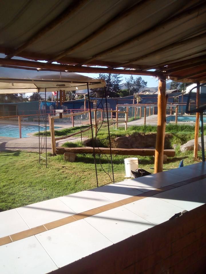 Fotografía 3 de Camping Los Hornitos de Altovalsol en La Serena, Coquimbo