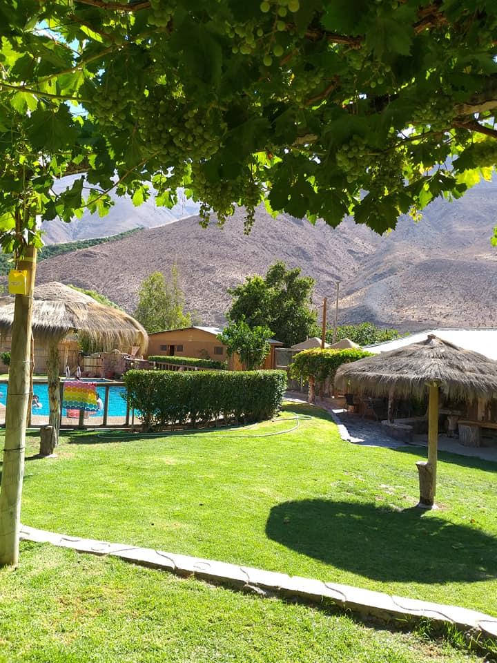Fotografía 15 de Camping Familiar El Rincon Tofino en Paihuano, Coquimbo