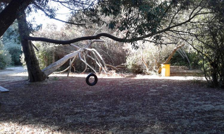Fotografía 3 de Camping Los Olivos Laguna Verde en Valparaiso, Valparaiso