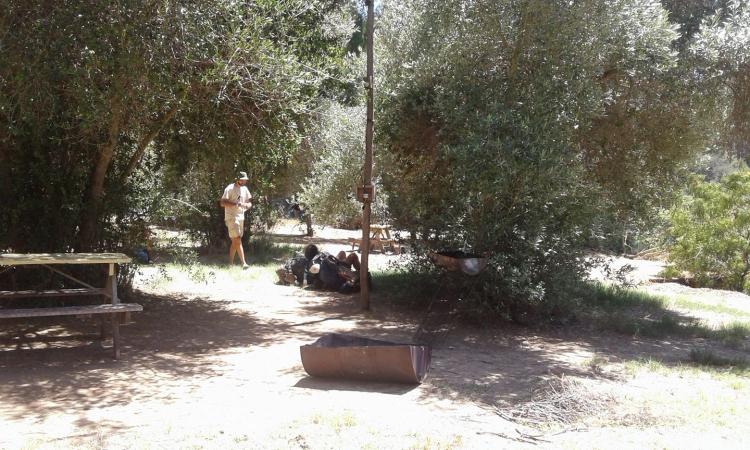 Fotografía 5 de Camping Los Olivos Laguna Verde en Valparaiso, Valparaiso