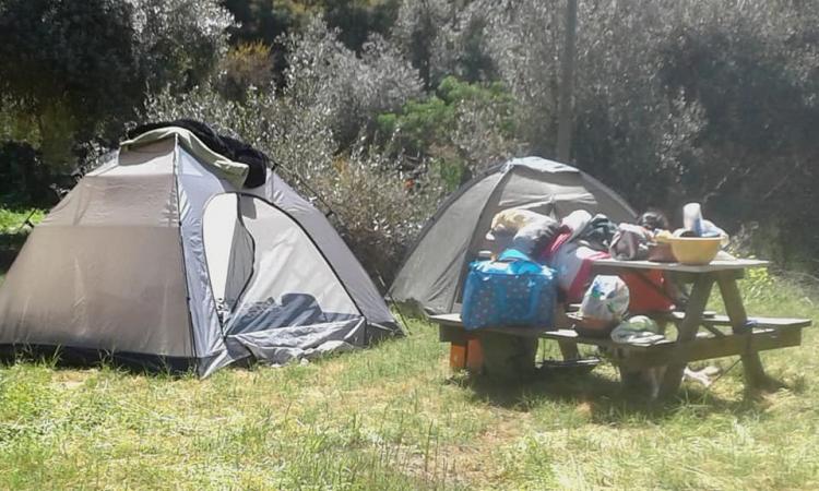 Fotografía 12 de Camping Los Olivos Laguna Verde en Valparaiso, Valparaiso