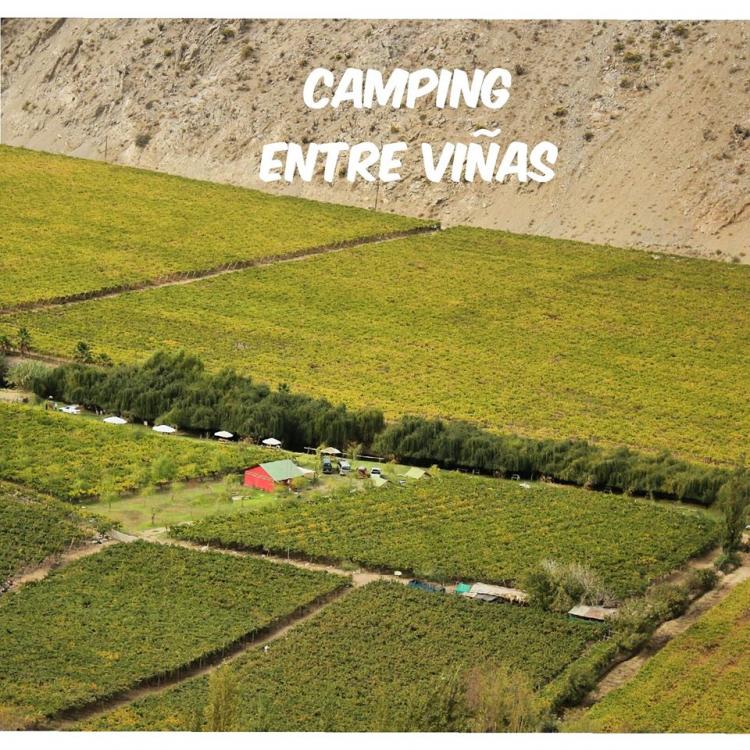 Fotografía 7 de Camping Entre Viña en Paihuano, Coquimbo