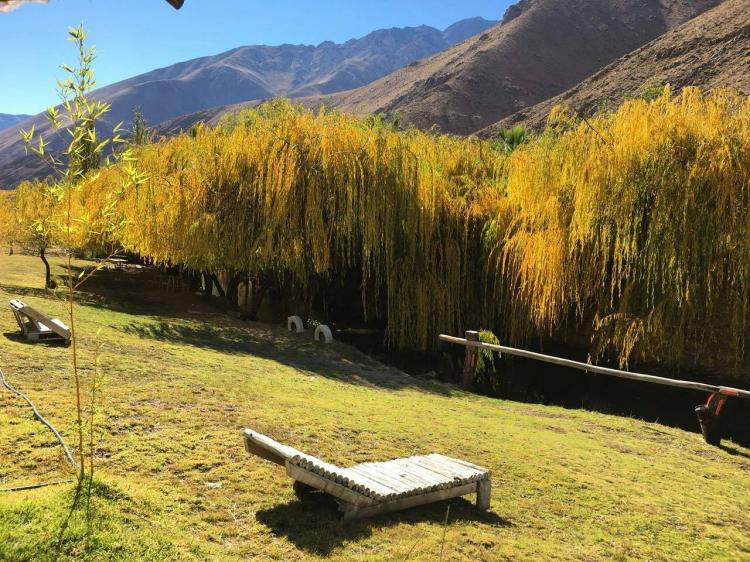 Fotografía 8 de Camping Entre Viña en Paihuano, Coquimbo