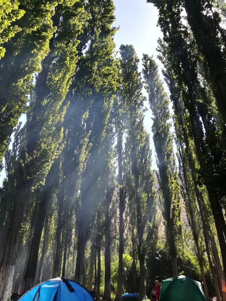 Fotografía 10 de Balneario El Bosque en Doñihue, Ohiggins