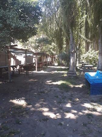Fotografía 9 de Balneario El Bosque en Doñihue, Ohiggins
