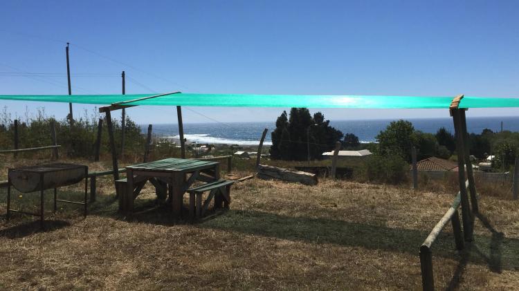 Fotografía 4 de Camping La Ola en Pelluhue, Maule