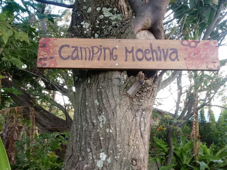 Fotografía 2 de Camping Moehiva en Isla De Pascua, Valparaiso