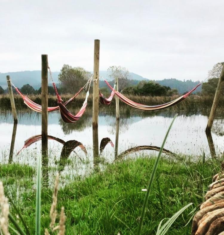 Fotografía 17 de Queltehues Eco Camping en Cobquecura, Bio Bio