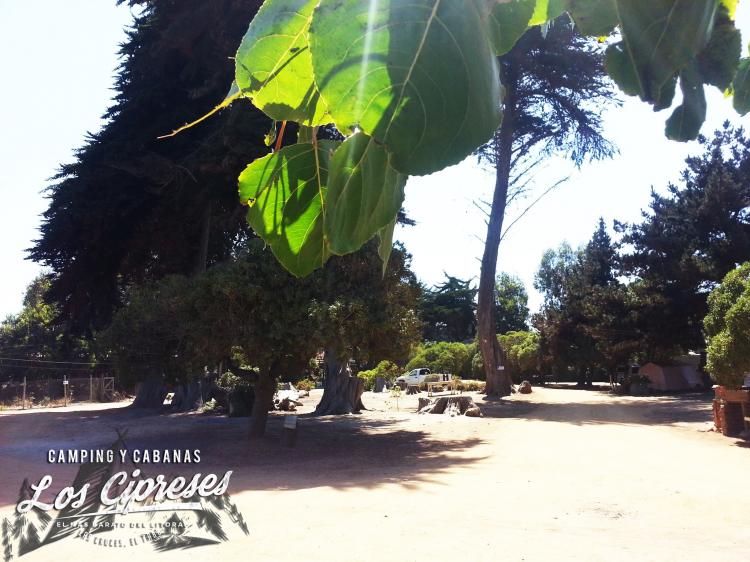 Fotografía 3 de Camping y Cabañas Los Cipreses en El Tabo, Valparaiso