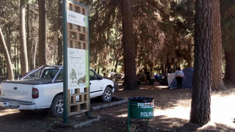 Fotografía 2 de Camping El Bosque - Sector El Radal en Maule, Maule