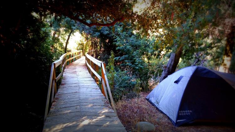 Fotografía 7 de Camping El Bosque - Sector El Radal en Maule, Maule
