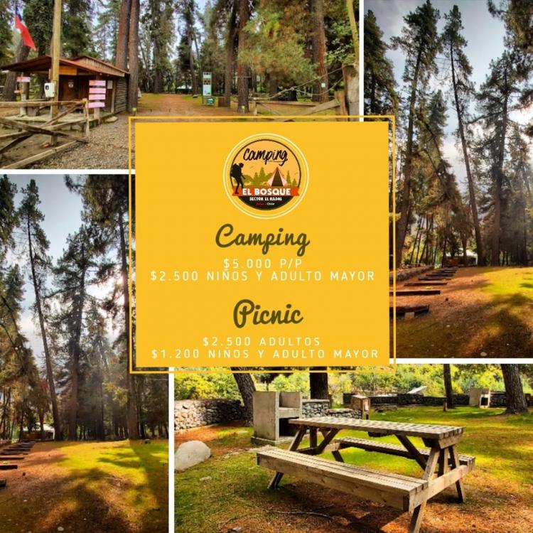 Fotografía 12 de Camping El Bosque - Sector El Radal en Maule, Maule