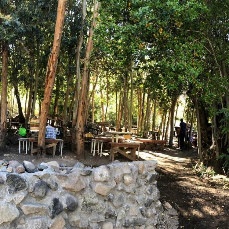 Fotografía 17 de Camping Alturas de Rio Blanco Los Andes en Los Andes, Valparaiso