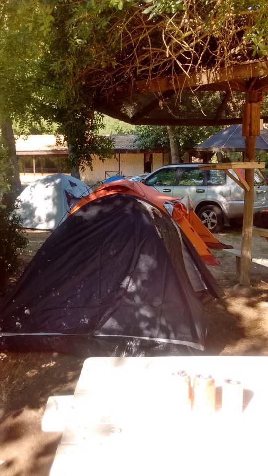 Fotografía 7 de Camping Club Pintue en Paine, Metropolitana