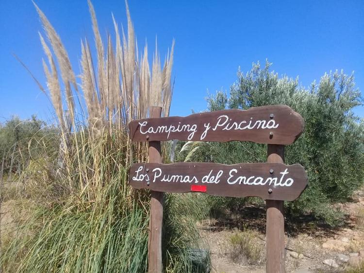 Fotografía 12 de Camping y piscina Los Pumas del Encanto en Ovalle, Coquimbo
