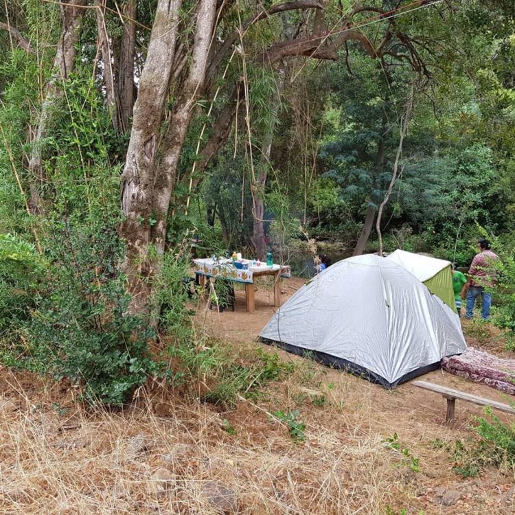 Fotografía 14 de Camping Rari Alto en Colbun, Maule