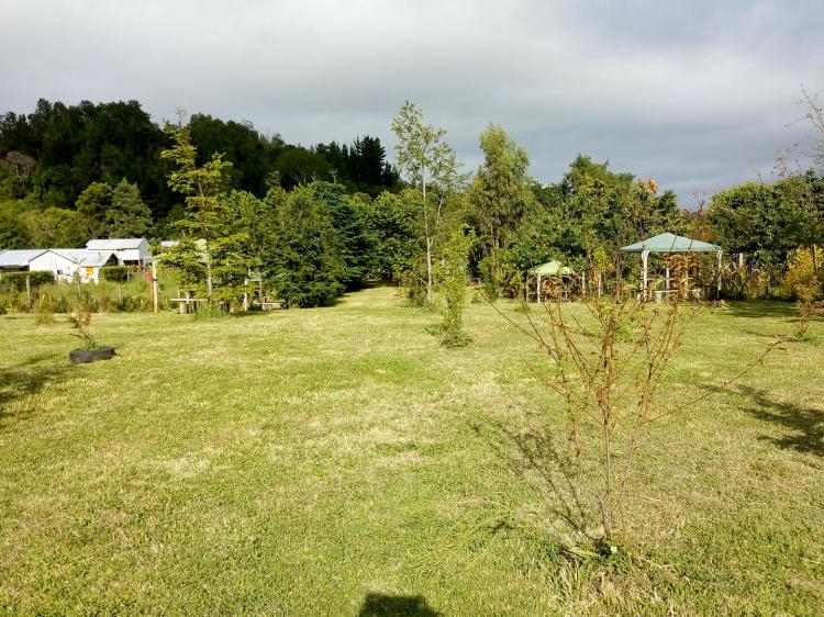 Fotografía 3 de Camping Piedra Azul Llifen en Futrono, Los Rios