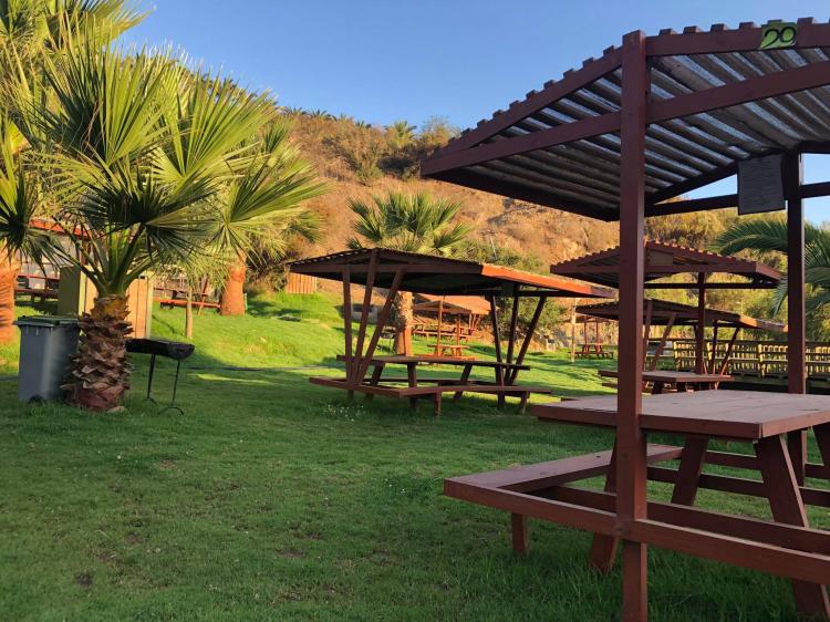 Fotografía 4 de Fundo Renacer de Monardez en La Serena, Coquimbo