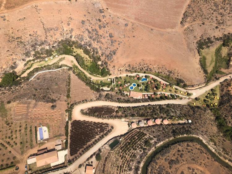 Fotografía 13 de Fundo Renacer de Monardez en La Serena, Coquimbo