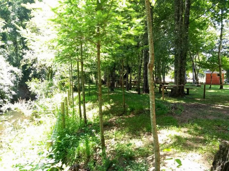 Fotografía 2 de Camping Garove en Panguipulli, Los Rios