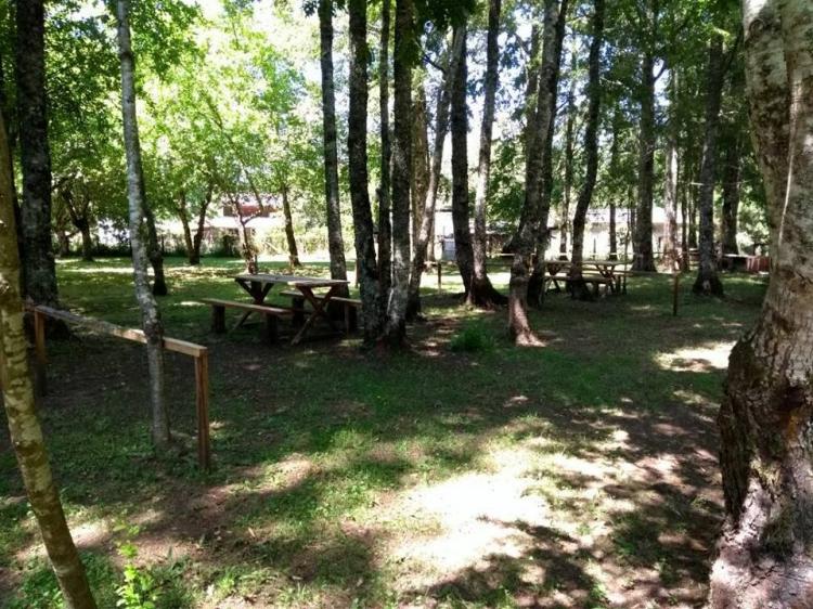Fotografía 3 de Camping Garove en Panguipulli, Los Rios