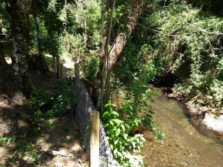 Fotografía 5 de Camping Garove en Panguipulli, Los Rios
