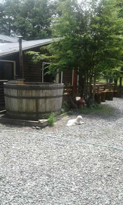 Fotografía 4 de Camping La Fogata en Pucon, Araucania