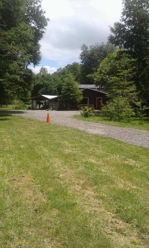 Fotografía 5 de Camping La Fogata en Pucon, Araucania