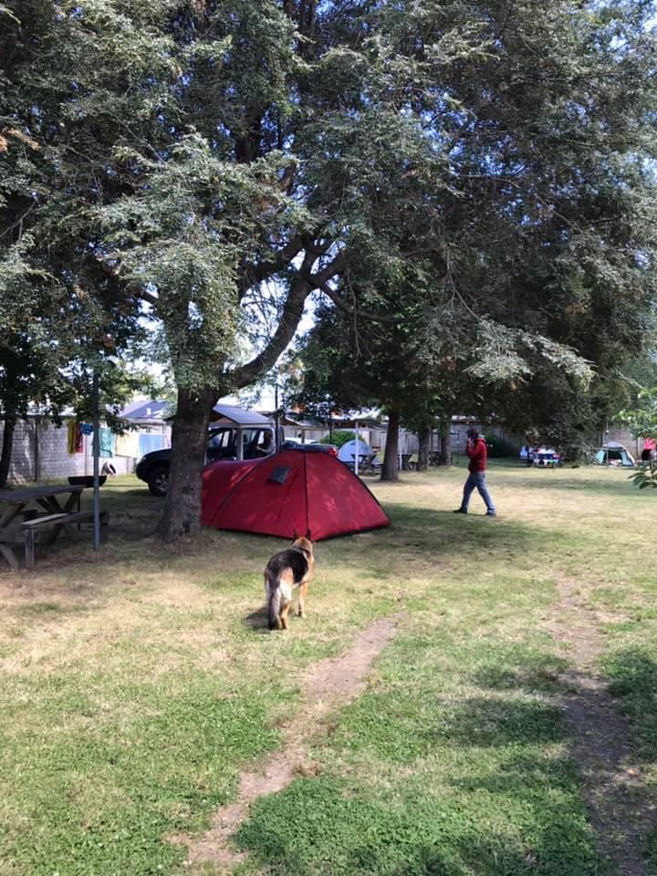 Fotografía 6 de Camping Las Rosas en Pucon, Araucania